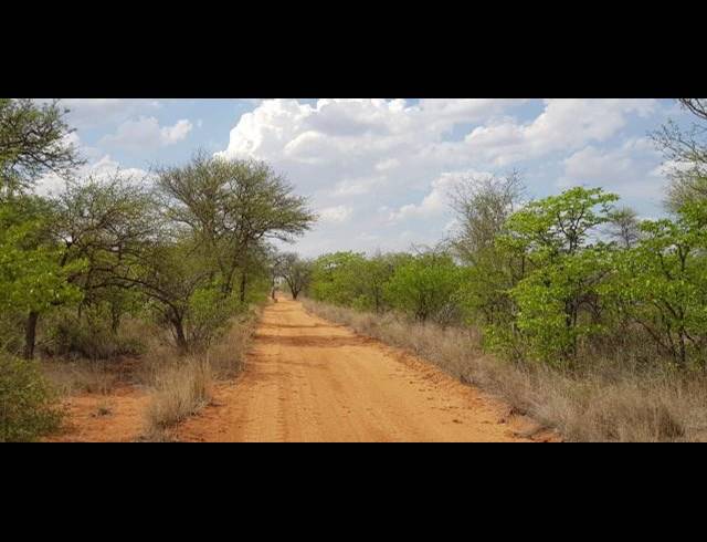 FARM FOR SALE IN MOPANE